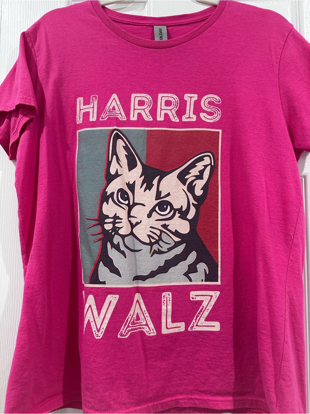 Pink Cat Graphic Tee - Pet Lover Harris Walz Shirt